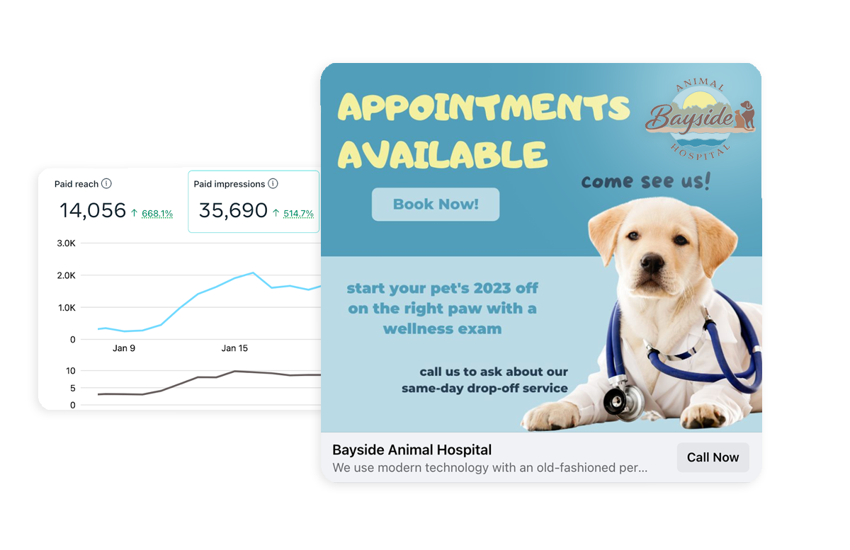 Veterinary ppc and Google Ads