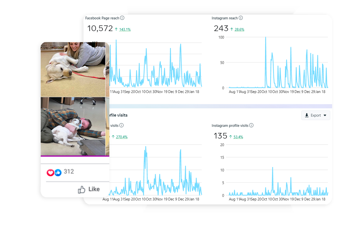 Veterinary social media marketing