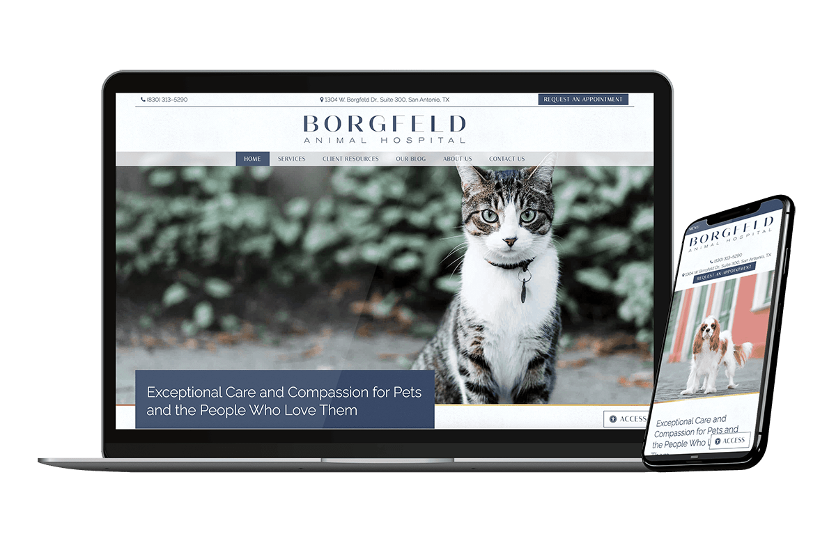 Veterinary website design example